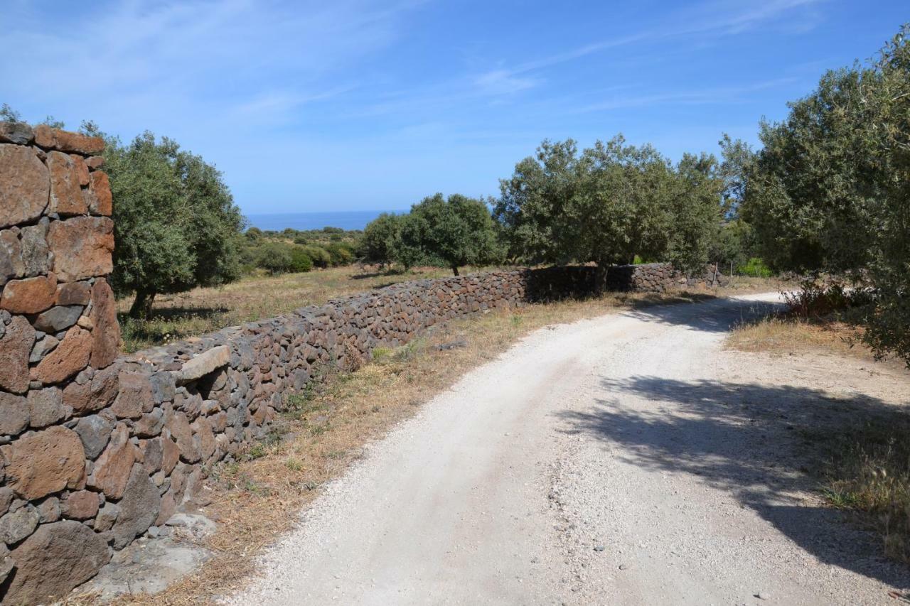 Casa Indipendente Immersa Nel Verde Con Vista Mare Dorgali Extérieur photo
