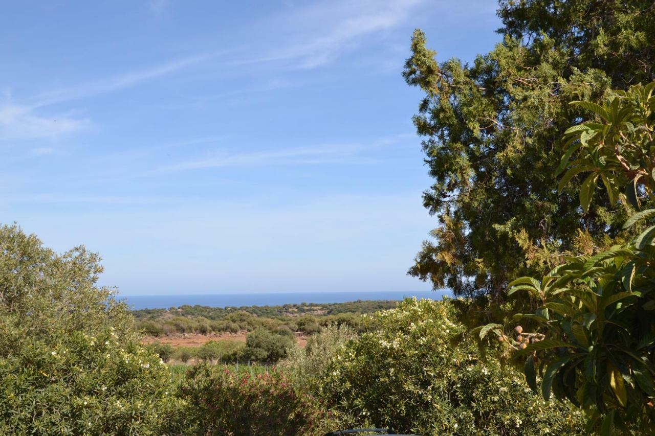 Casa Indipendente Immersa Nel Verde Con Vista Mare Dorgali Extérieur photo